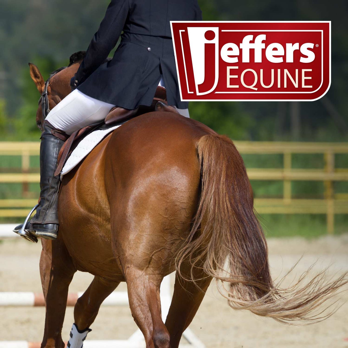 Person riding a horse with Jeffers Equine logo in the corner