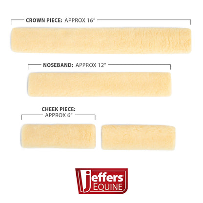 Measurement chart of equestrian bridle pieces with 'Jeffers Equine' branding.