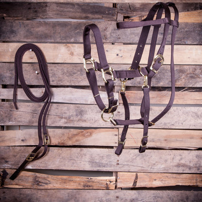 Horse bridle and reins on a wooden background