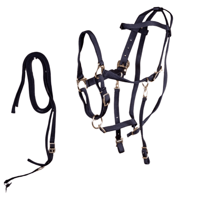 Navy blue horse bridle with gold hardware on a white background