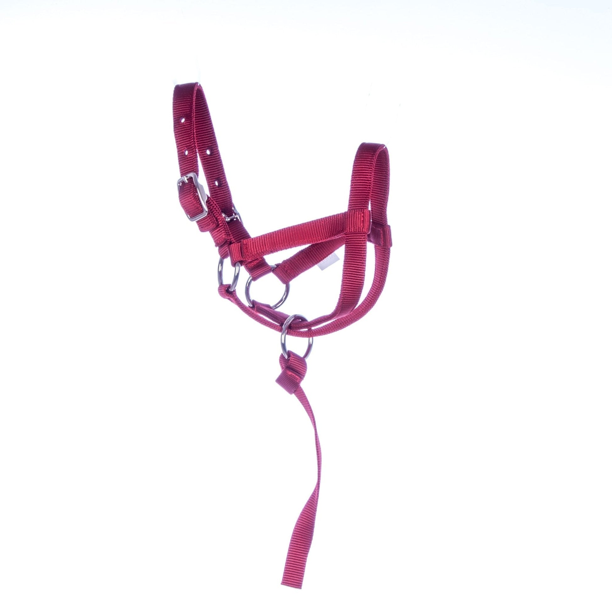 Red horse halter with a strap on a white background
