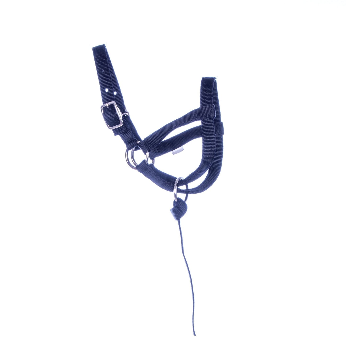 Navy blue horse halter with a lead rope on a white background