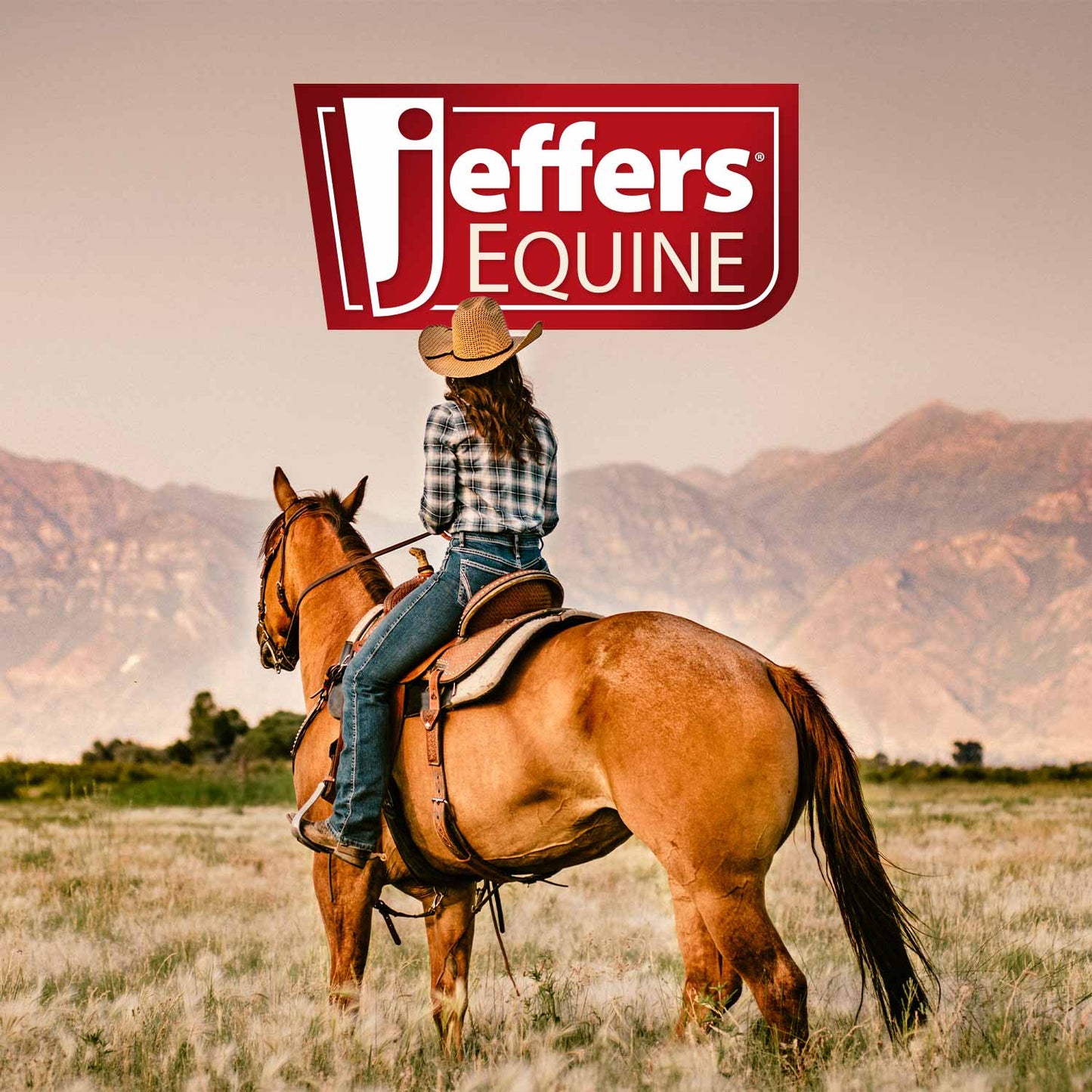 Person riding a horse in a field with 'Jeffers Equine' logo above