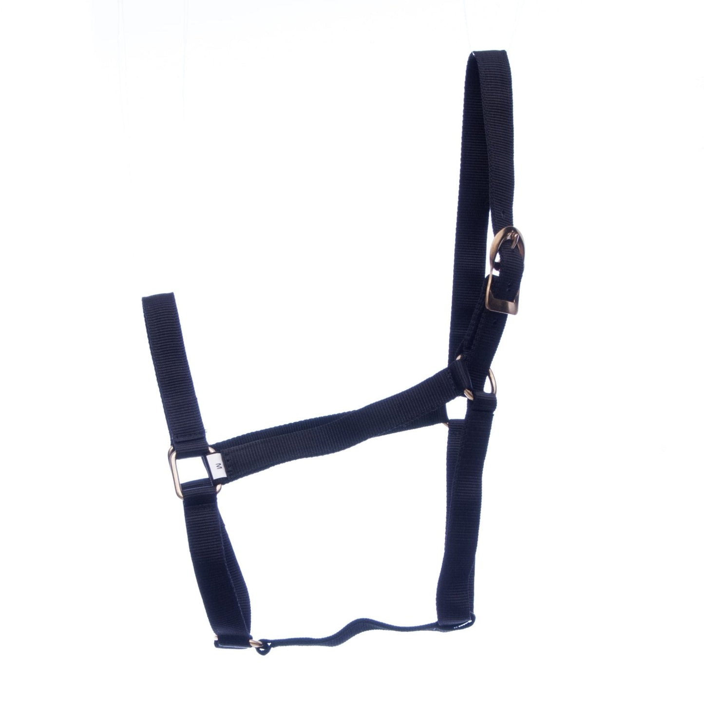 Navy blue horse halter with a metal buckle on a white background