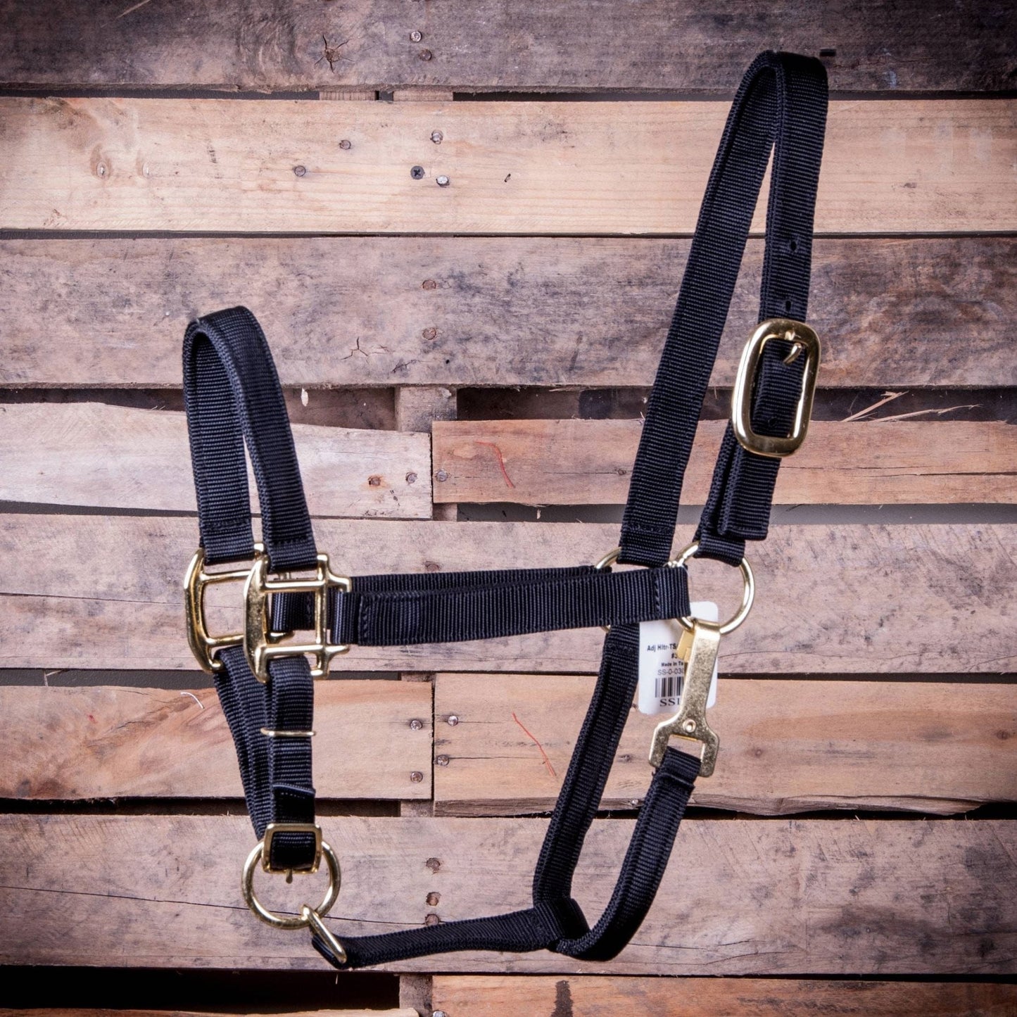 Black halter with gold hardware on a wooden background