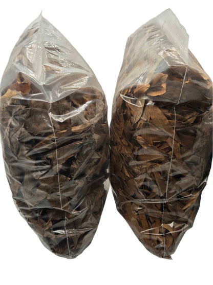 Forest Floor Leaf Litter (3 Sizes!)