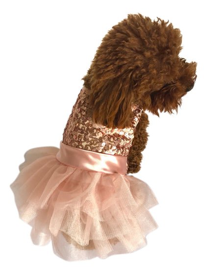 Dog wearing a sequined top and pink skirt on a white background