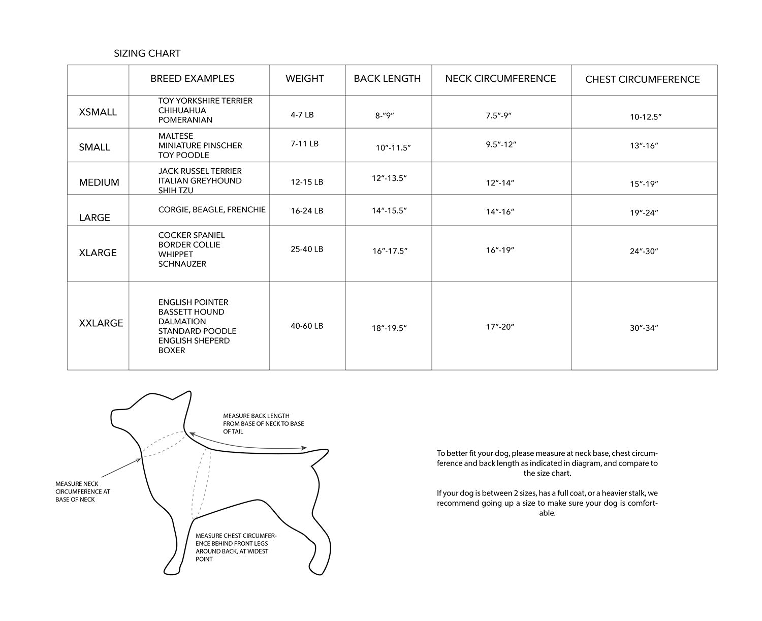 Dog sizing chart with breed examples, weight, back length, neck circumference, and chest circumference measurements.