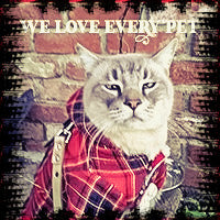 We Love Every Pet