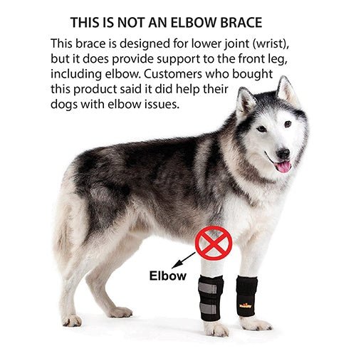 Dog wearing a front leg brace with text explaining it's for lower joint support, not elbows.