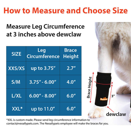 Measurement chart for dog leg braces with a visual of a dog's leg and brace.