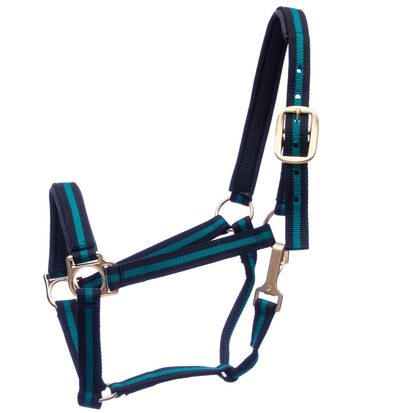Navy and green horse halter with brass hardware on a white background