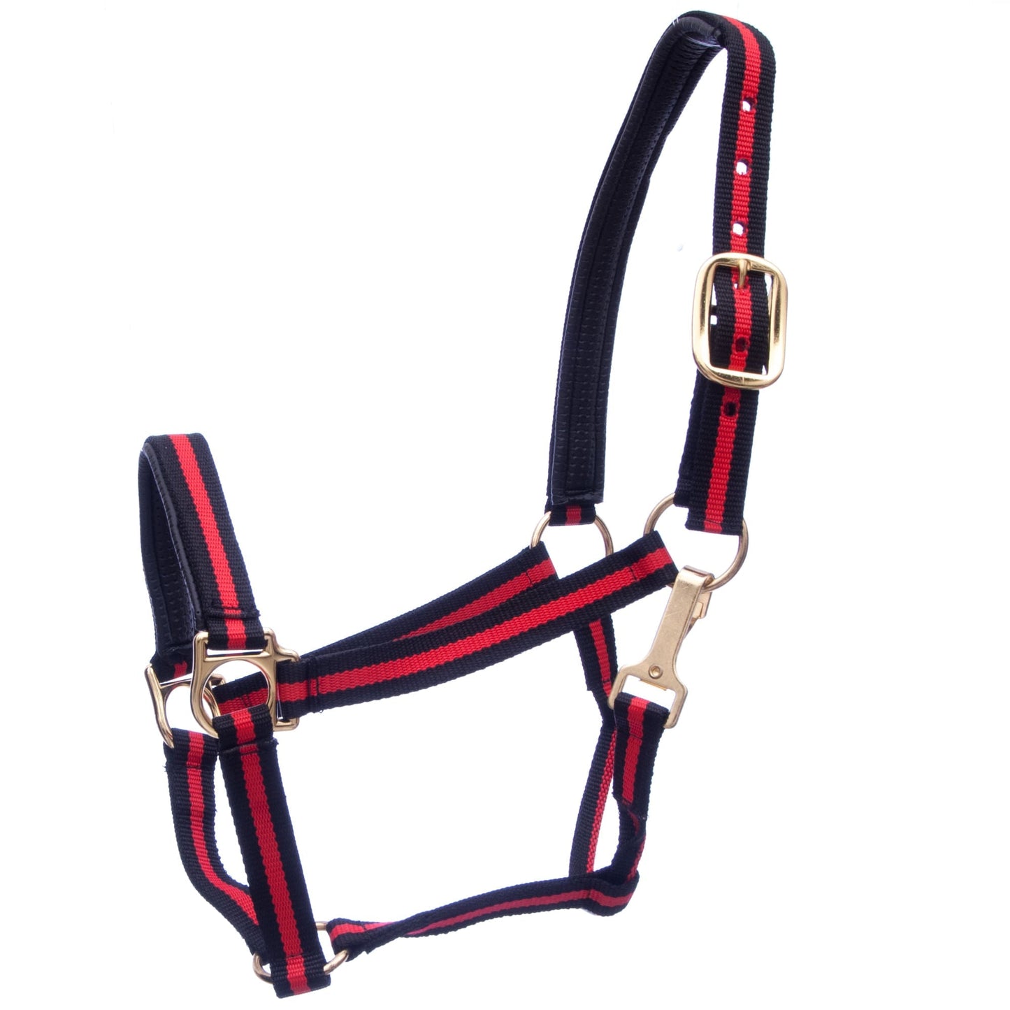 Navy and red striped horse halter with gold hardware on a white background
