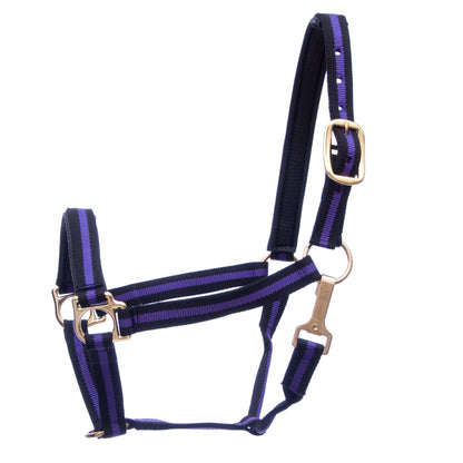 Navy and purple horse halter with gold hardware on a white background