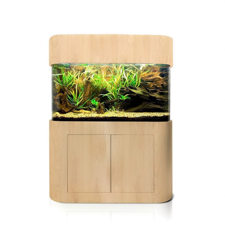 Wooden aquarium with glass front on a white background