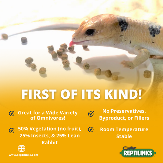 Lizard eating pellets with Reptilinks product information on a yellow background