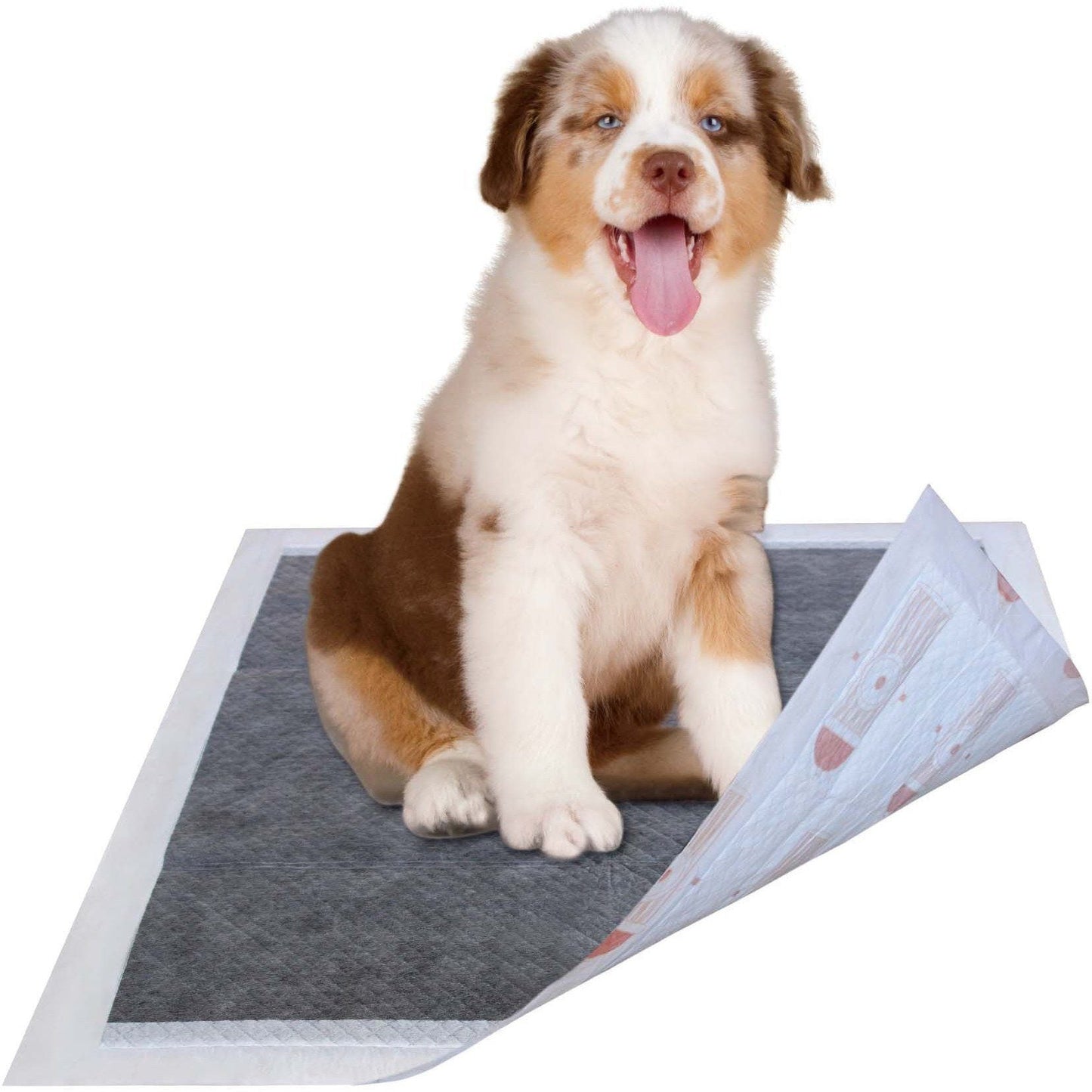 Puppy sitting on a dog training pad with a white background