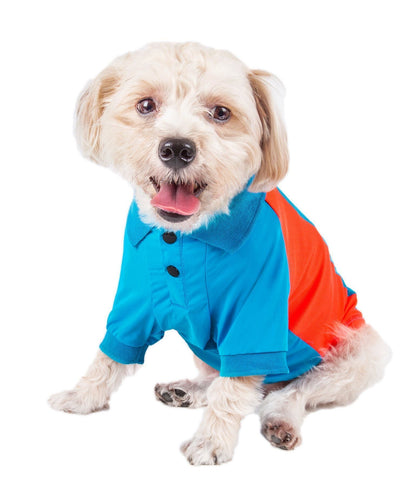 Dog wearing a blue and orange jacket on a white background
