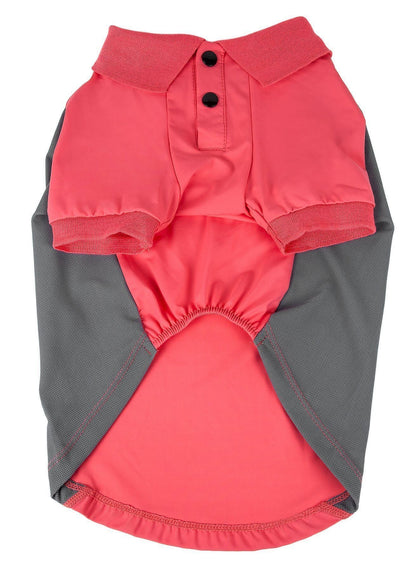 Dog outfit with red top and gray bottom on a white background