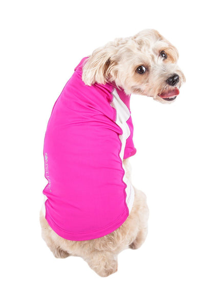 Dog wearing a bright pink shirt on a white background
