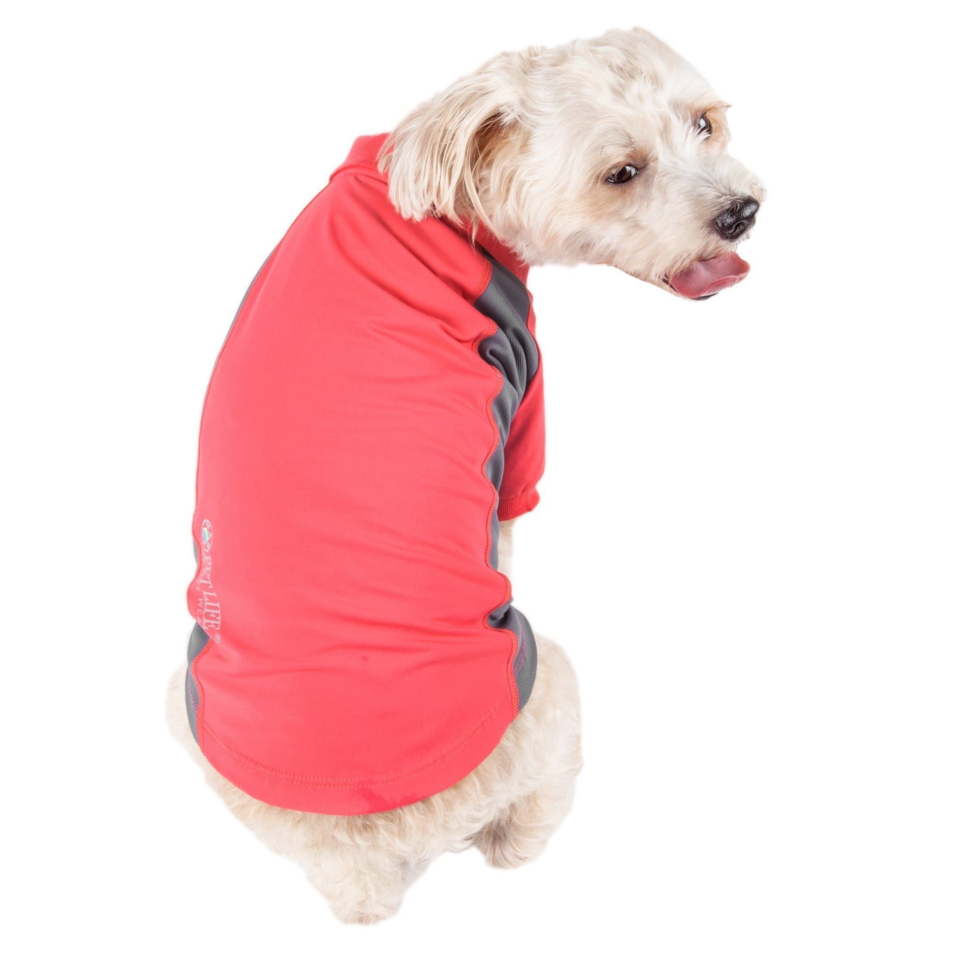 Dog wearing a red jacket with gray accents on a white background