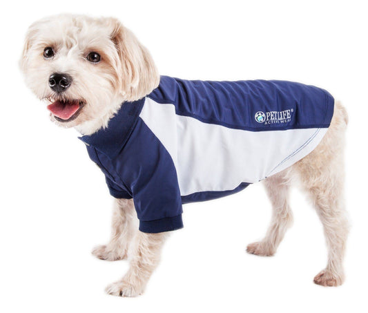 Dog wearing a blue and white Petlife hoodie on a white background