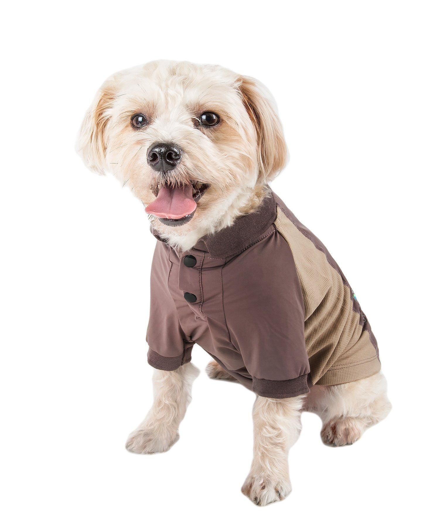 Dog wearing a brown and beige outfit on a white background