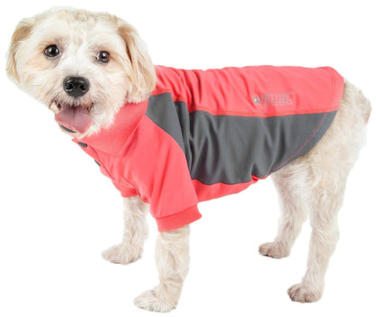 Dog wearing a red and gray coat on a white background