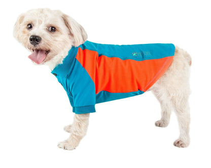Dog wearing a blue and orange jacket on a white background