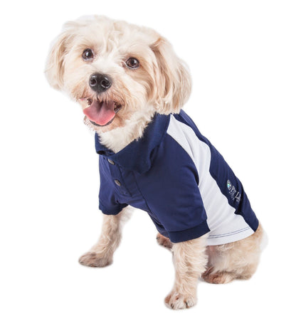 Dog wearing a navy and white hoodie on a white background
