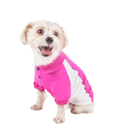 Dog wearing a pink and white outfit on a white background