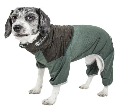 Dog wearing a green and brown outfit on a white background