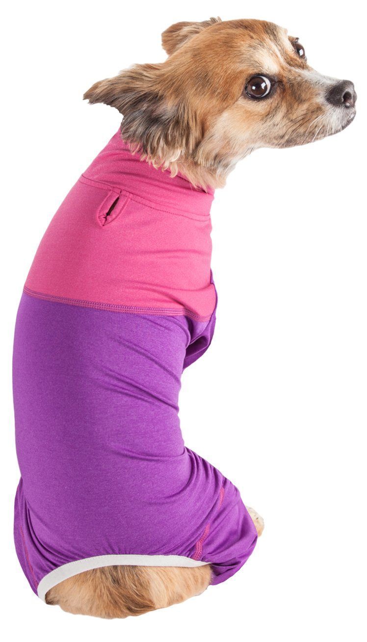Dog wearing a pink and purple outfit on a white background