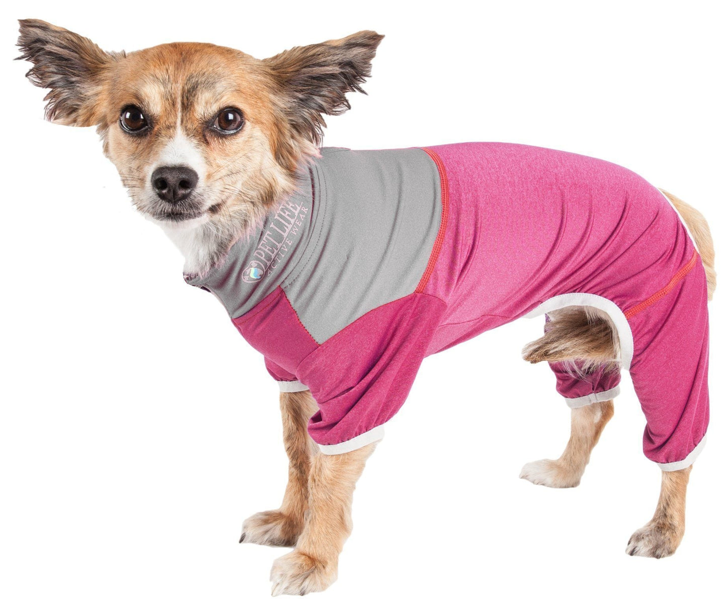 Dog wearing a pink and gray outfit on a white background