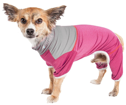 Dog wearing a pink and gray outfit on a white background