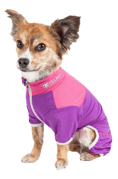 Small dog wearing a pink and purple outfit on a white background