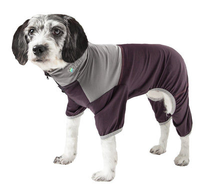 Dog wearing a gray and purple outfit on a white background