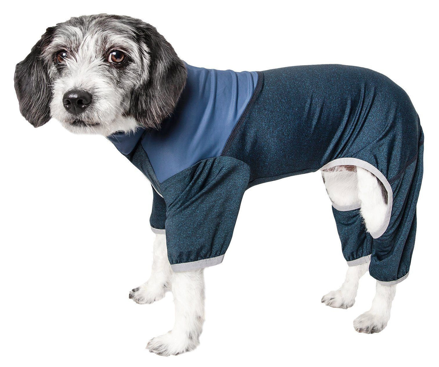Dog wearing a blue and gray fleece outfit on a white background