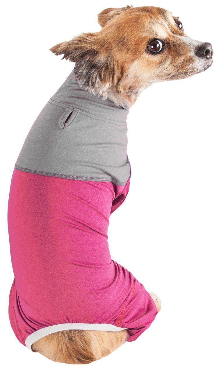 Dog wearing a gray and pink outfit on a white background