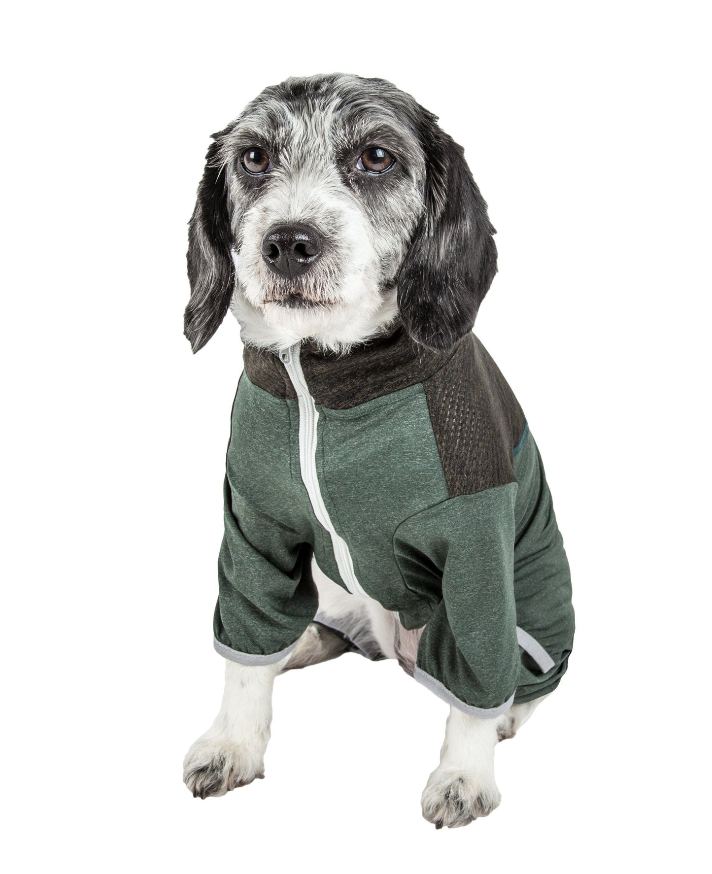 Dog wearing a green and brown fleece jacket on a white background
