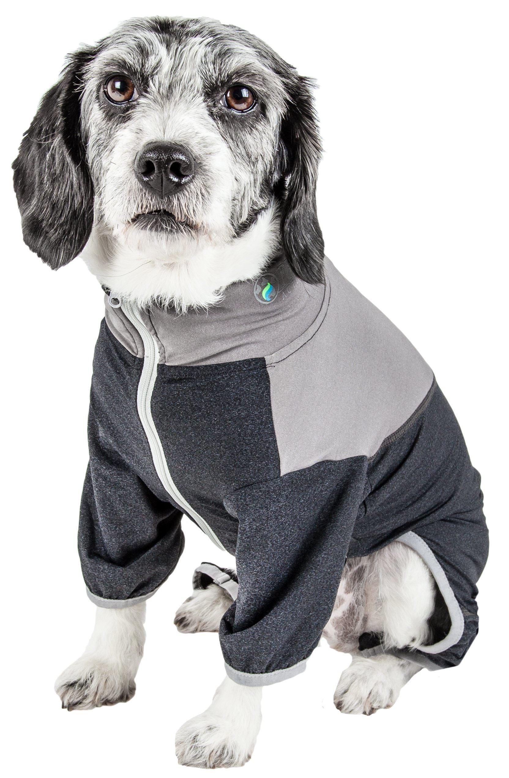 Dog wearing a gray and black hoodie on a white background