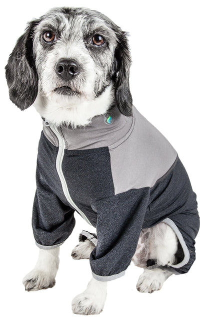 Dog wearing a gray and black hoodie on a white background