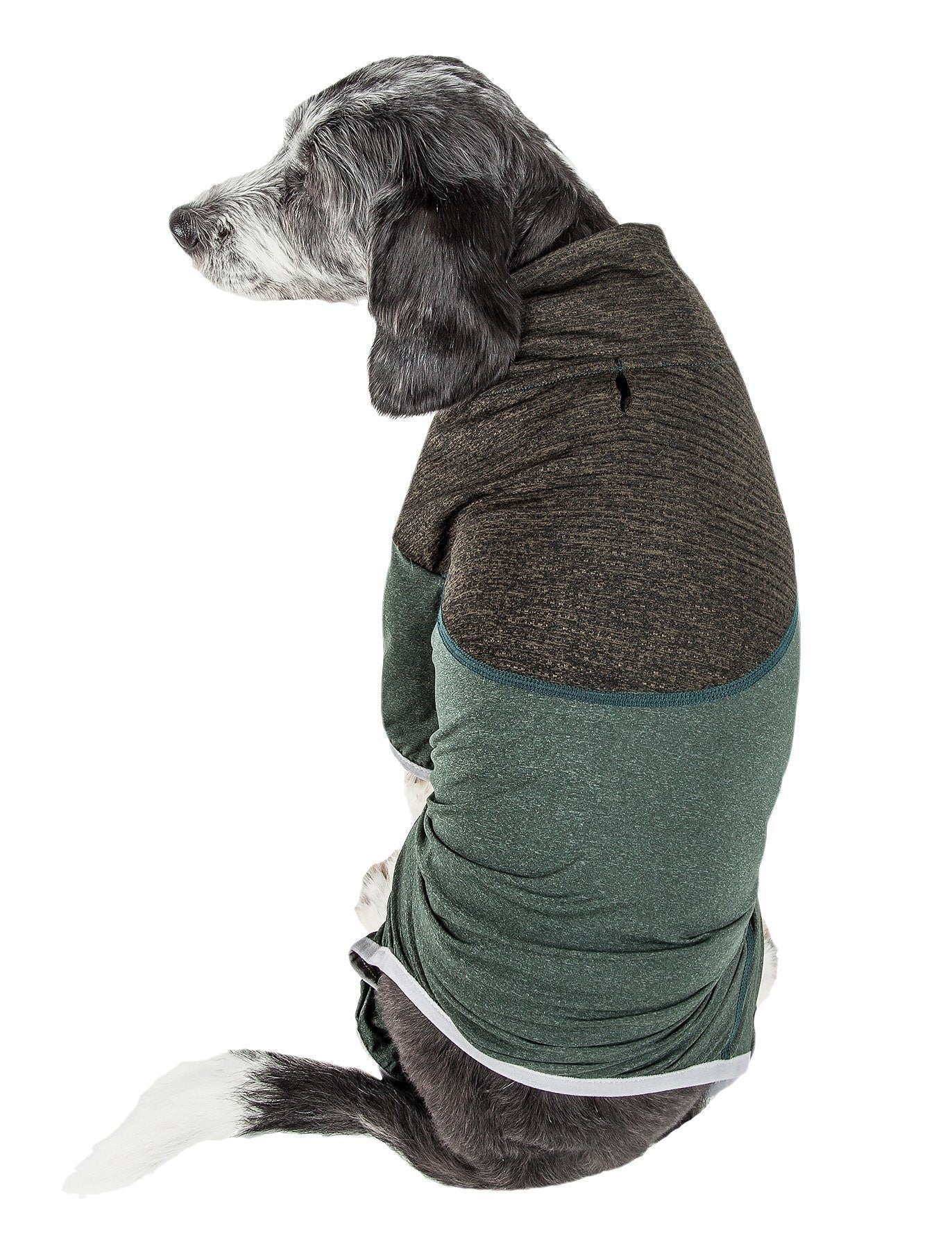 Dog wearing a two-tone brown and green sweater on a white background