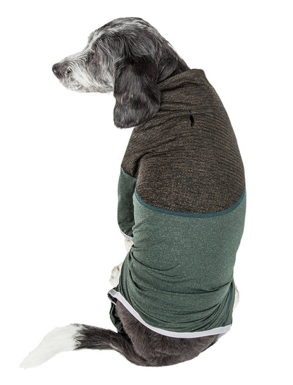 Dog wearing a two-tone brown and green sweater on a white background