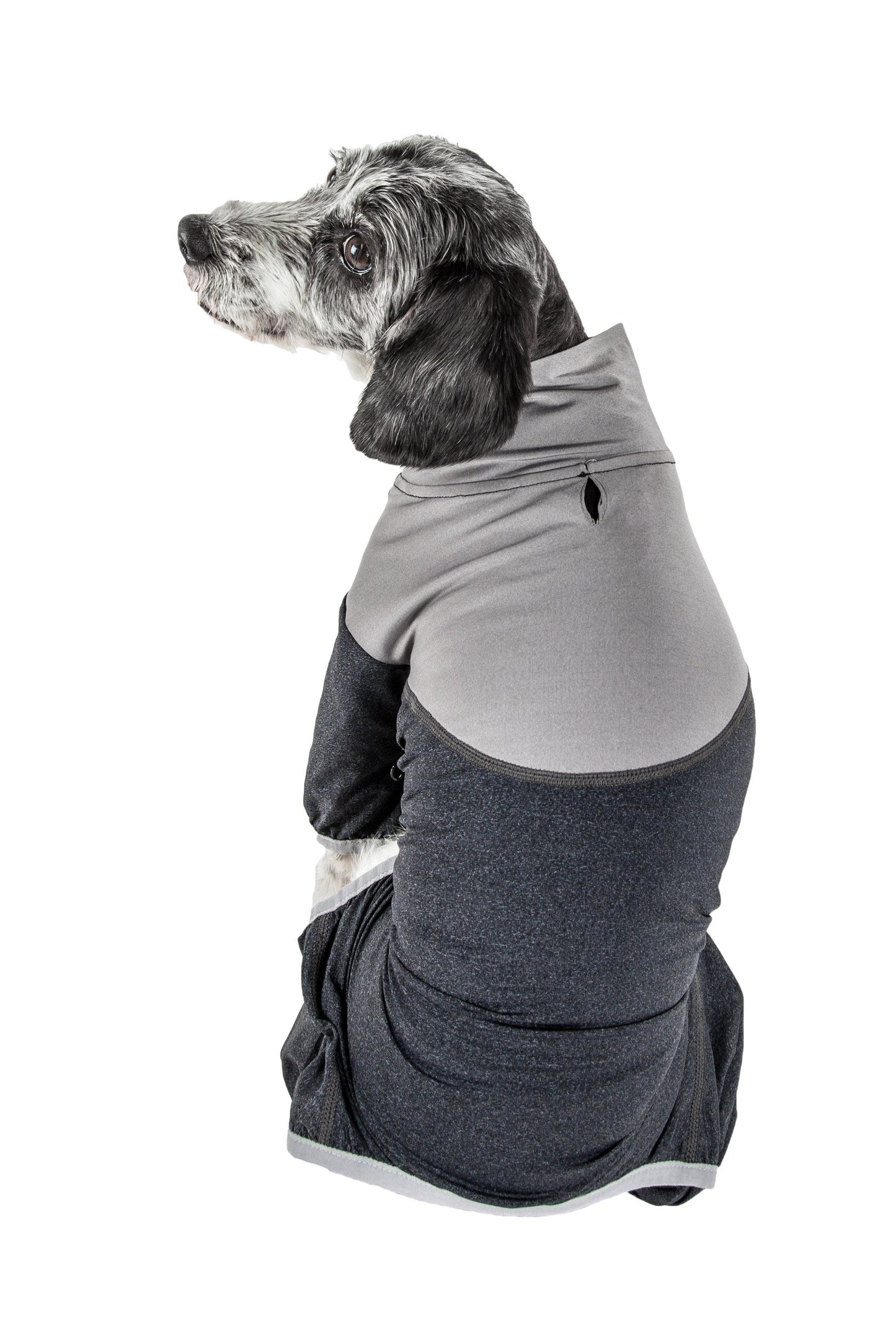Dog wearing a gray and black fleece coat on a white background