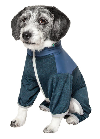 Dog wearing a blue pet coat on a white background