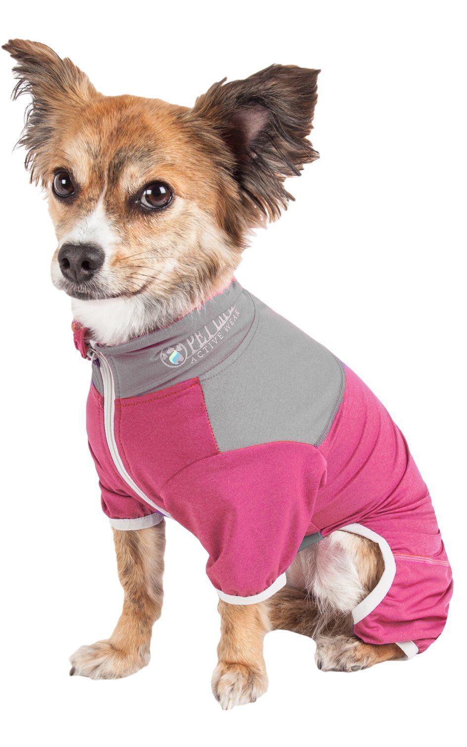 Dog wearing a pink and gray outfit on a white background