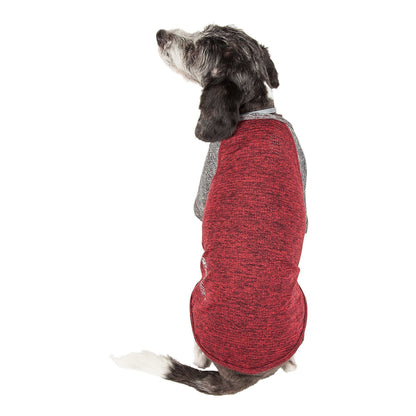 Dog wearing a red and gray sweater on a white background