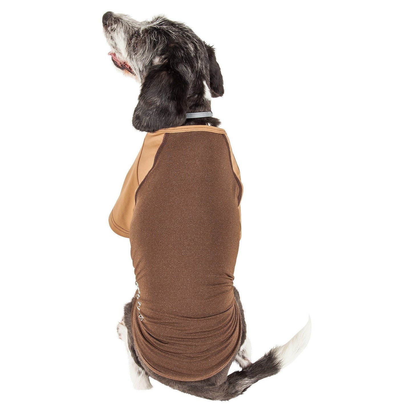 Dog wearing a brown sleeveless shirt on a white background