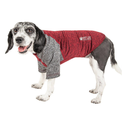 Dog wearing a red and gray fleece jacket on a white background